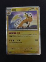 POKEMON CARDS HOLO  RAICHU # 26