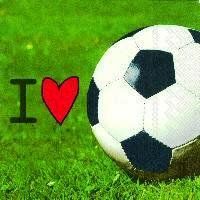 2 Servietten I Love  Fussball