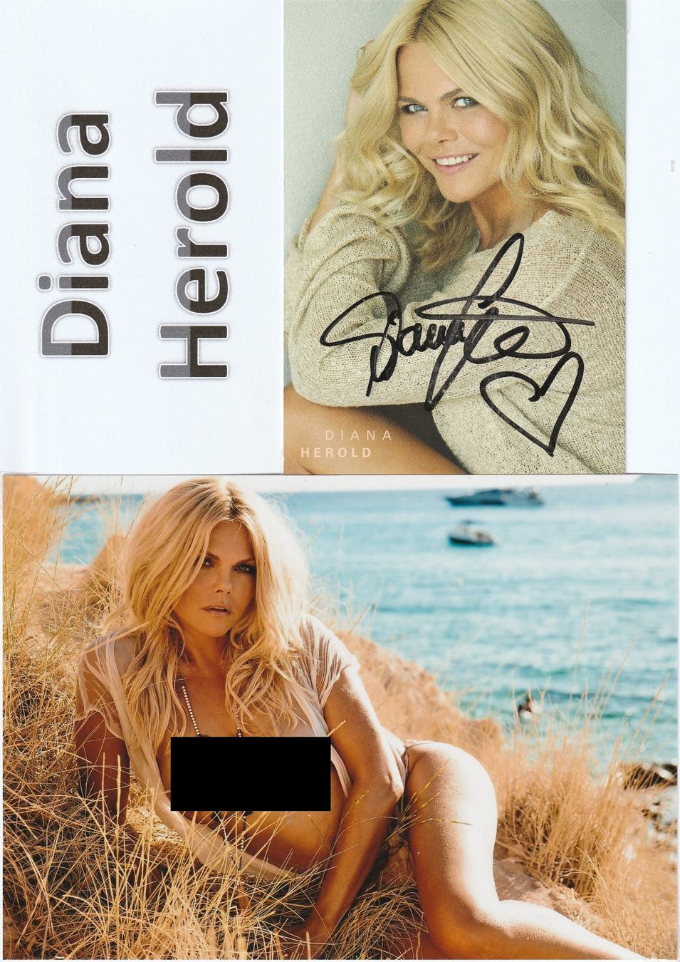 Autografi: Diana Herold / Originalautogramm – Nuovo (secondo la descrizione) da Schwyz venduto da racingautographs
