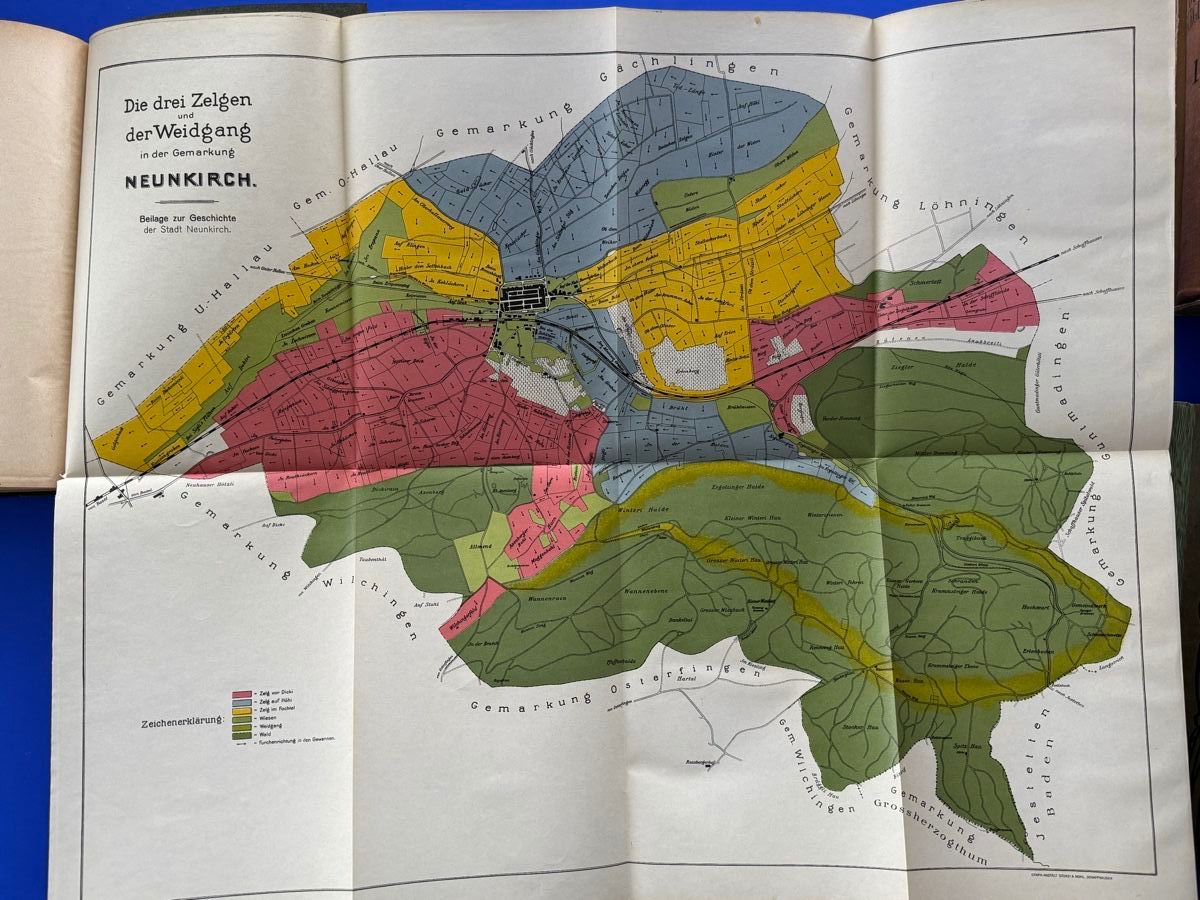 Libri: Geschichte der Stadt Neunkirch. 1917 – Usato da Adliswil venduto da buch_und_kunst 5