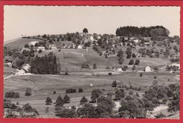 HIRZEL