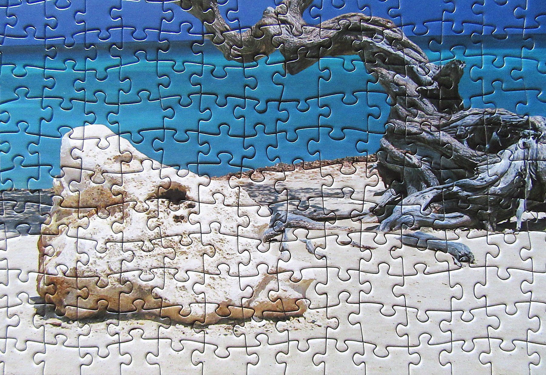 Heye Puzzle: Heye Puzzle - 1000 Teile - Divi Divi Tree - komplett – Usato da Auenstein venduto da Padabimbim 4
