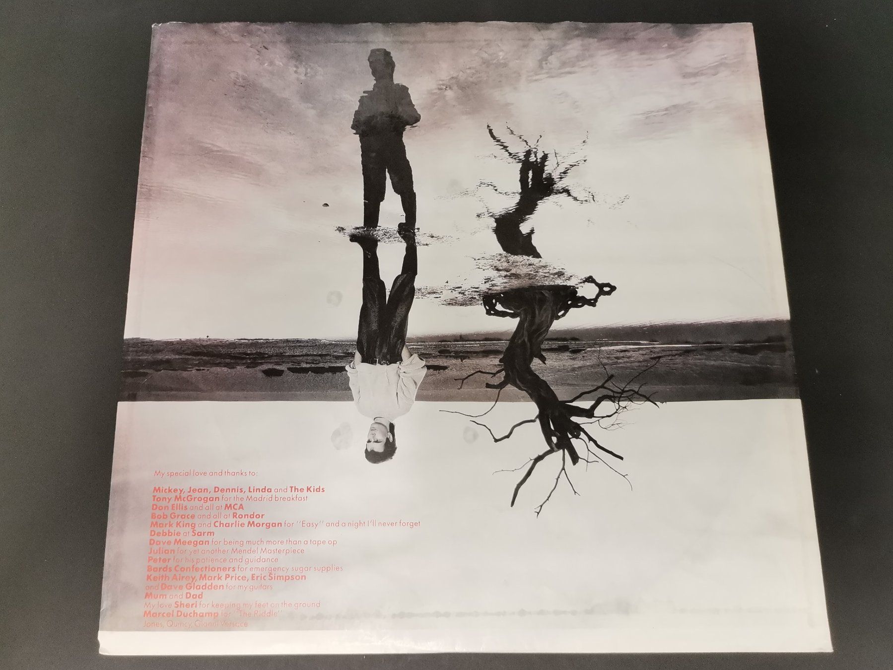 Dischi in vinile: SCHALLPLATTE Vinyl Nik Kershaw "The Riddle" – Usato da Schaffhausen venduto da Restwert_SH 8