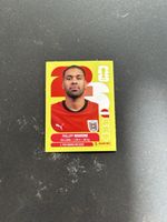 Panini AUT 8