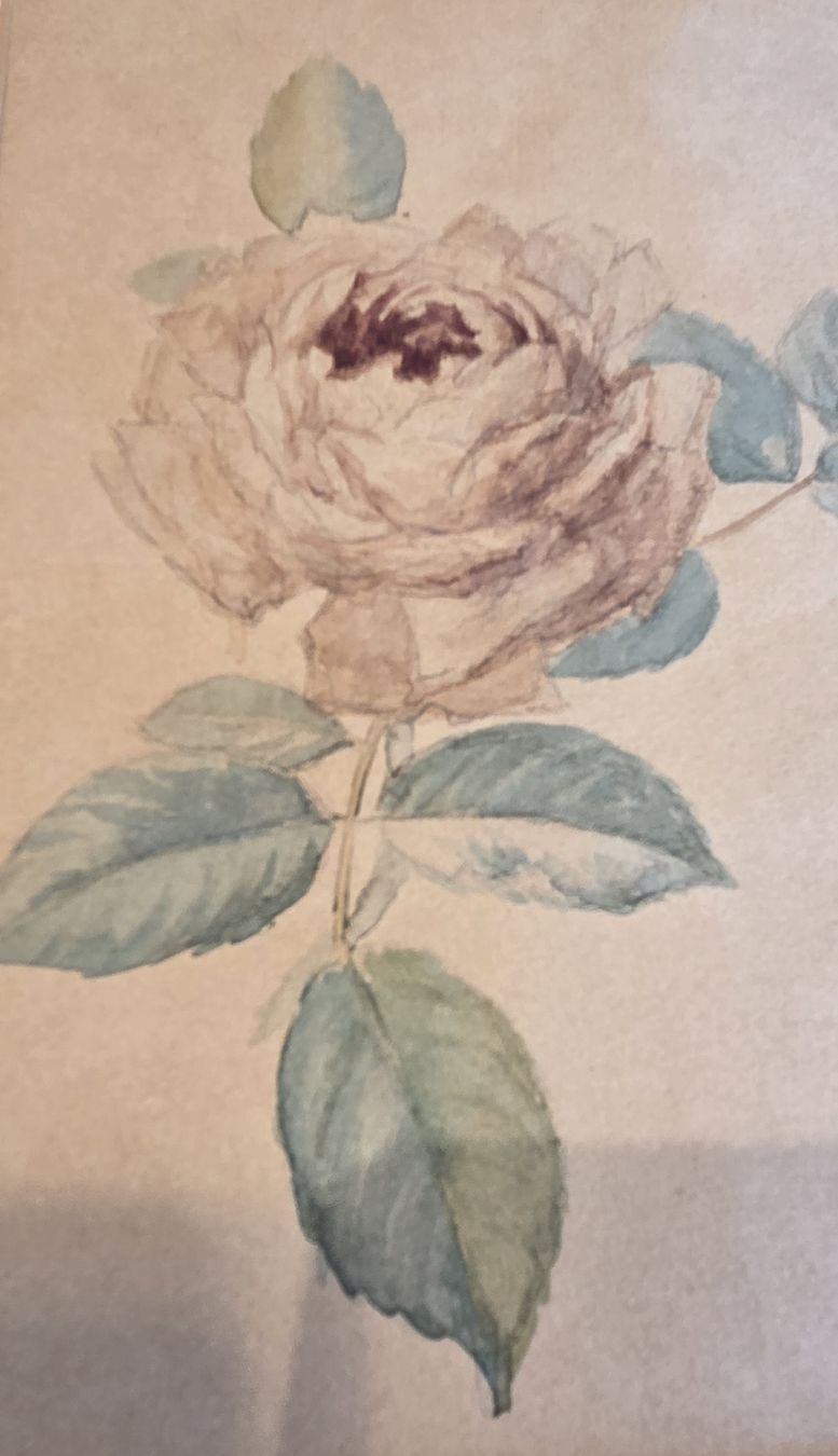 Dipinti: Original Aquarell Rose handgeschöpftes Papier – Usato da Rehetobel venduto da hobirot01 1
