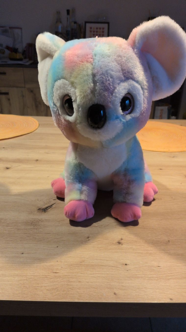 Giocattoli: peluche koala  – Usato da Lussery-Villars venduto da Champi1er