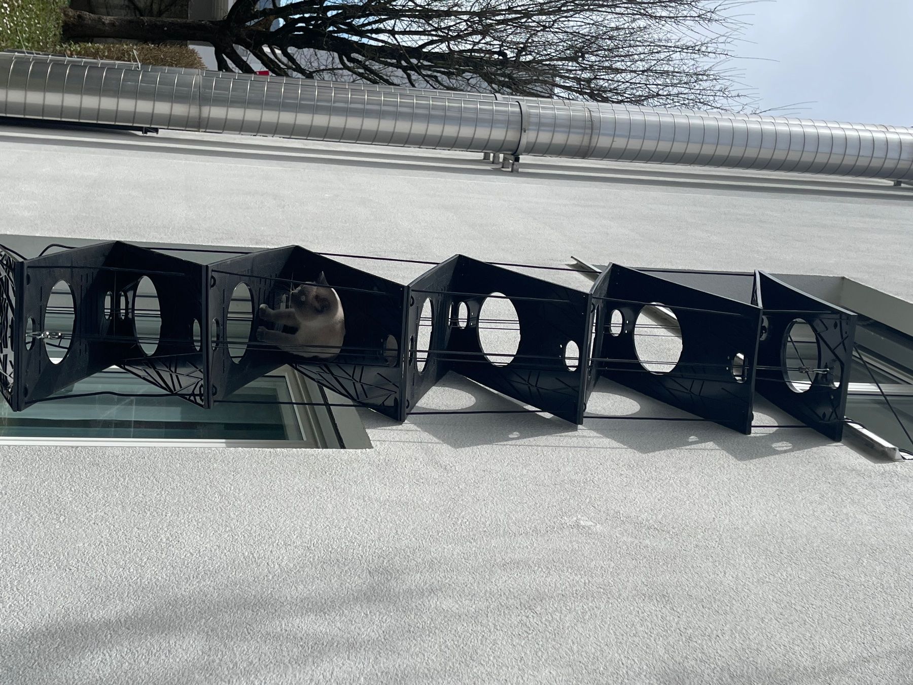 Scale: Katzenleiter mobil – Usato da Uster venduto da AndiRados 1