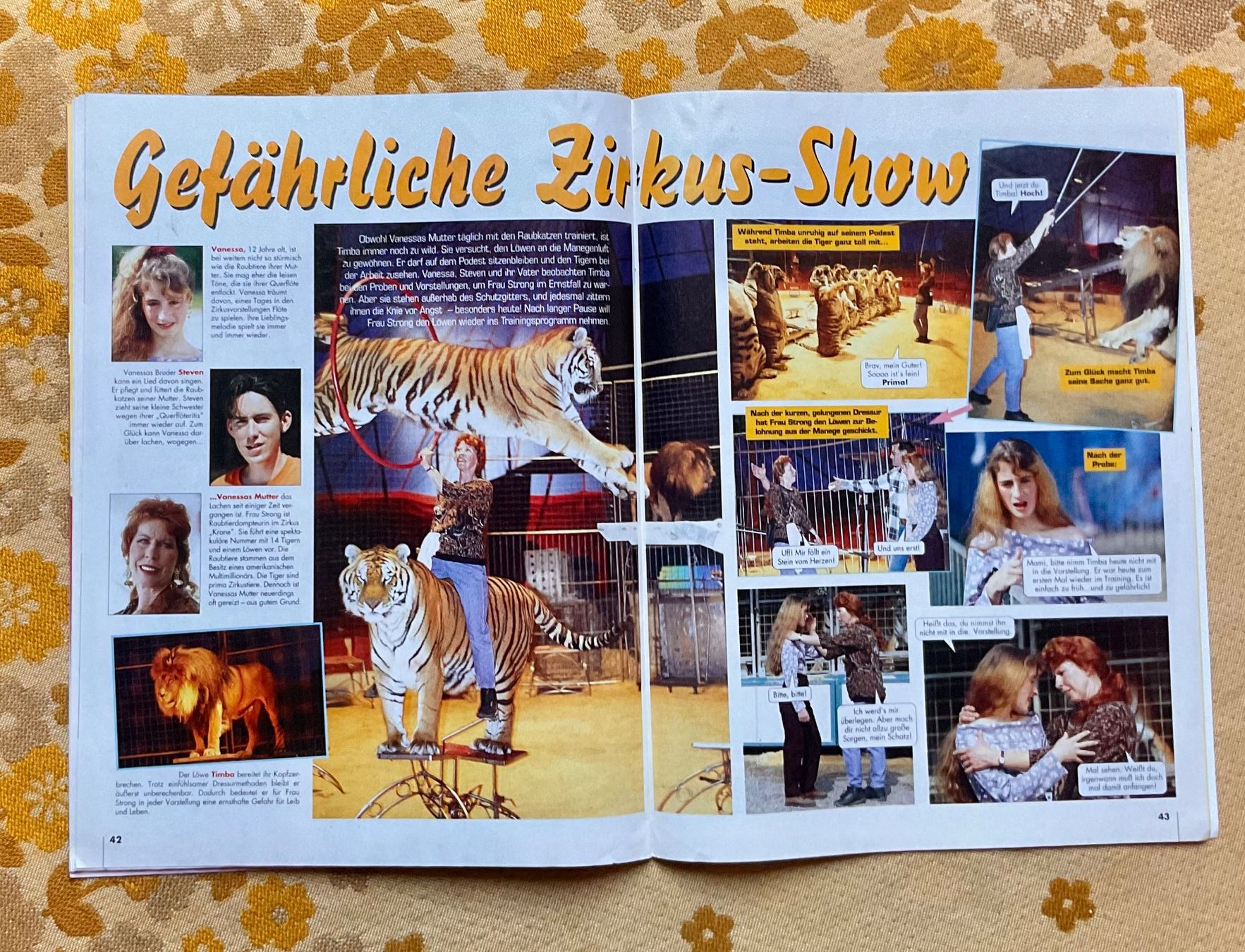 Comics: Minnie Maus Heft von 1995 – Gebraucht aus Endingen von nathan05 7