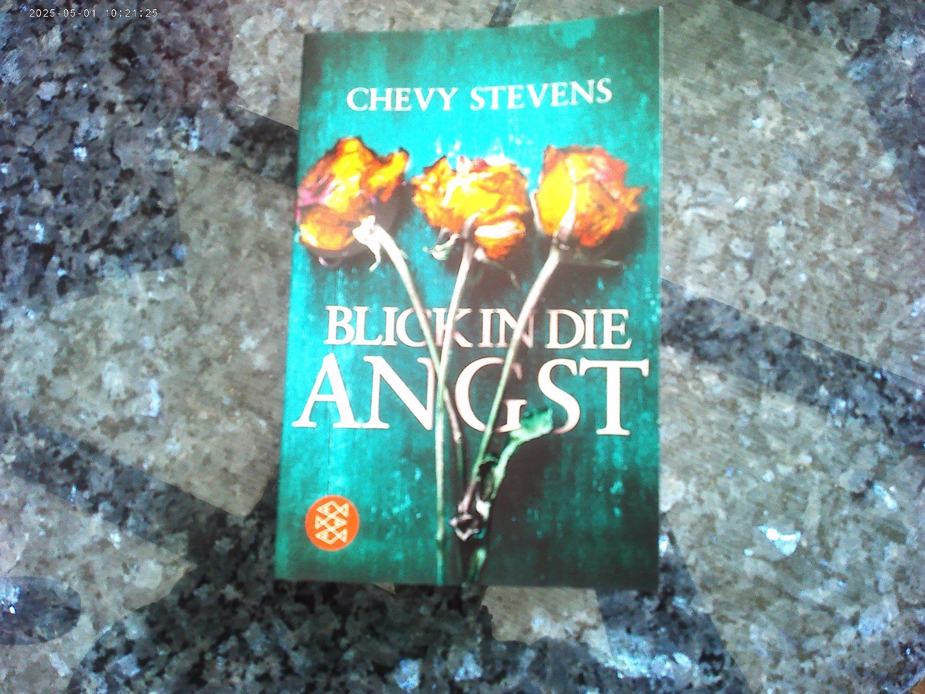 Libri: Blick in die Angst von Chevy Stevens – Usato da reitnau venduto da Sib7