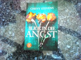 Blick in die Angst von Chevy Stevens
