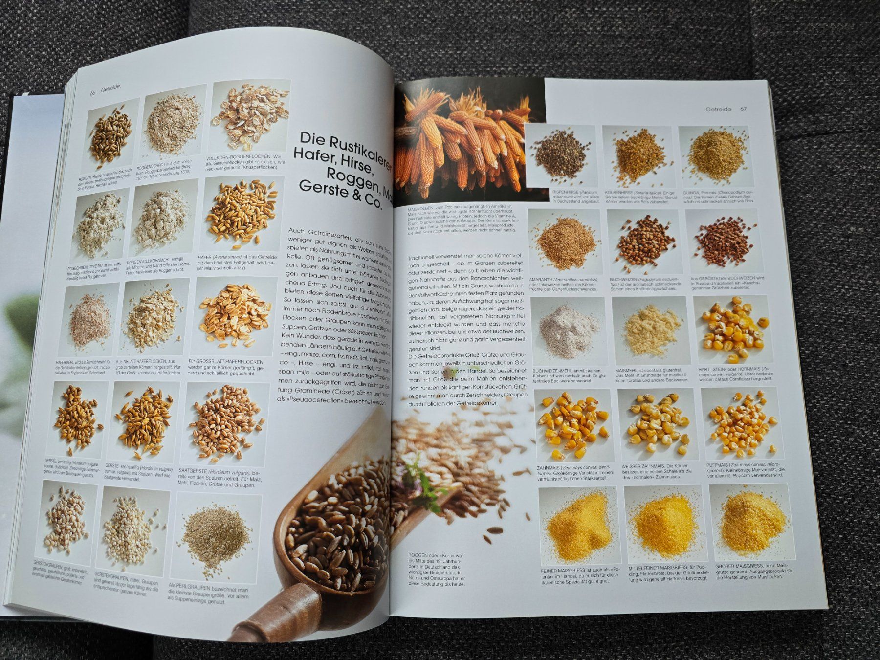 Libri: Kochbuch Teubner - Food – Usato da Büttikon AG venduto da Amineah 1