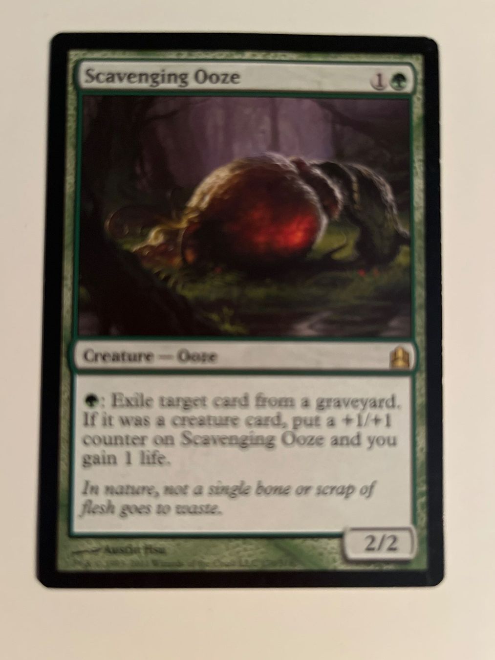 Magic The Gathering Carte collezionabili: 1 x Scavenging Ooze - Magic: The Gathering - MtG – Usato da Kriens venduto da Shadi1980