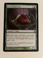 1 x Scavenging Ooze - Magic: The Gathering - MtG