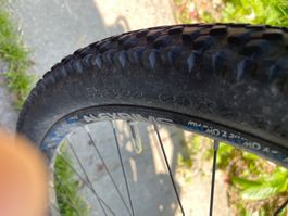 Trek Powerfly Ebike Grösse L