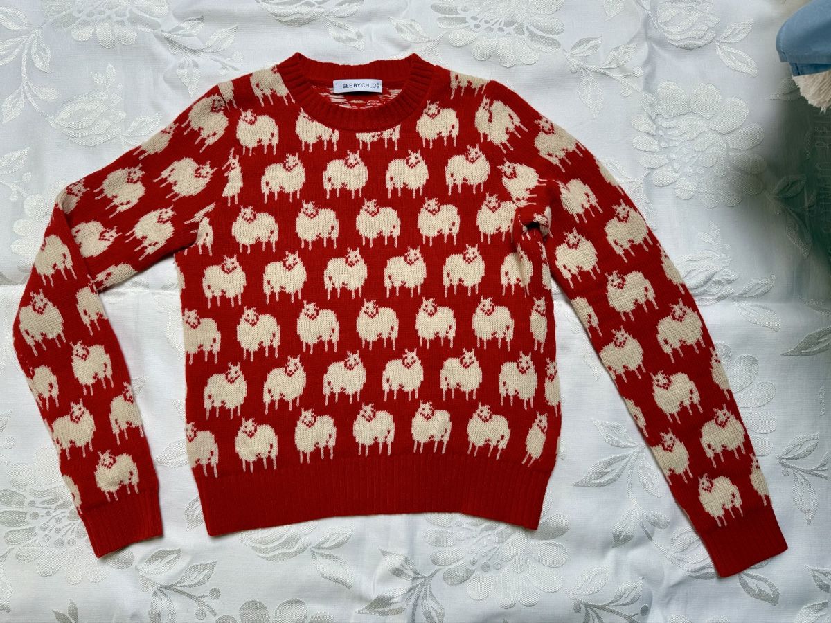 Chloé Pullover & Sweatshirts: See by Chloe pullover S – Gebraucht aus Barna von orbuyorcry 3