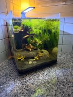 Nano Cube Complete, 30 L