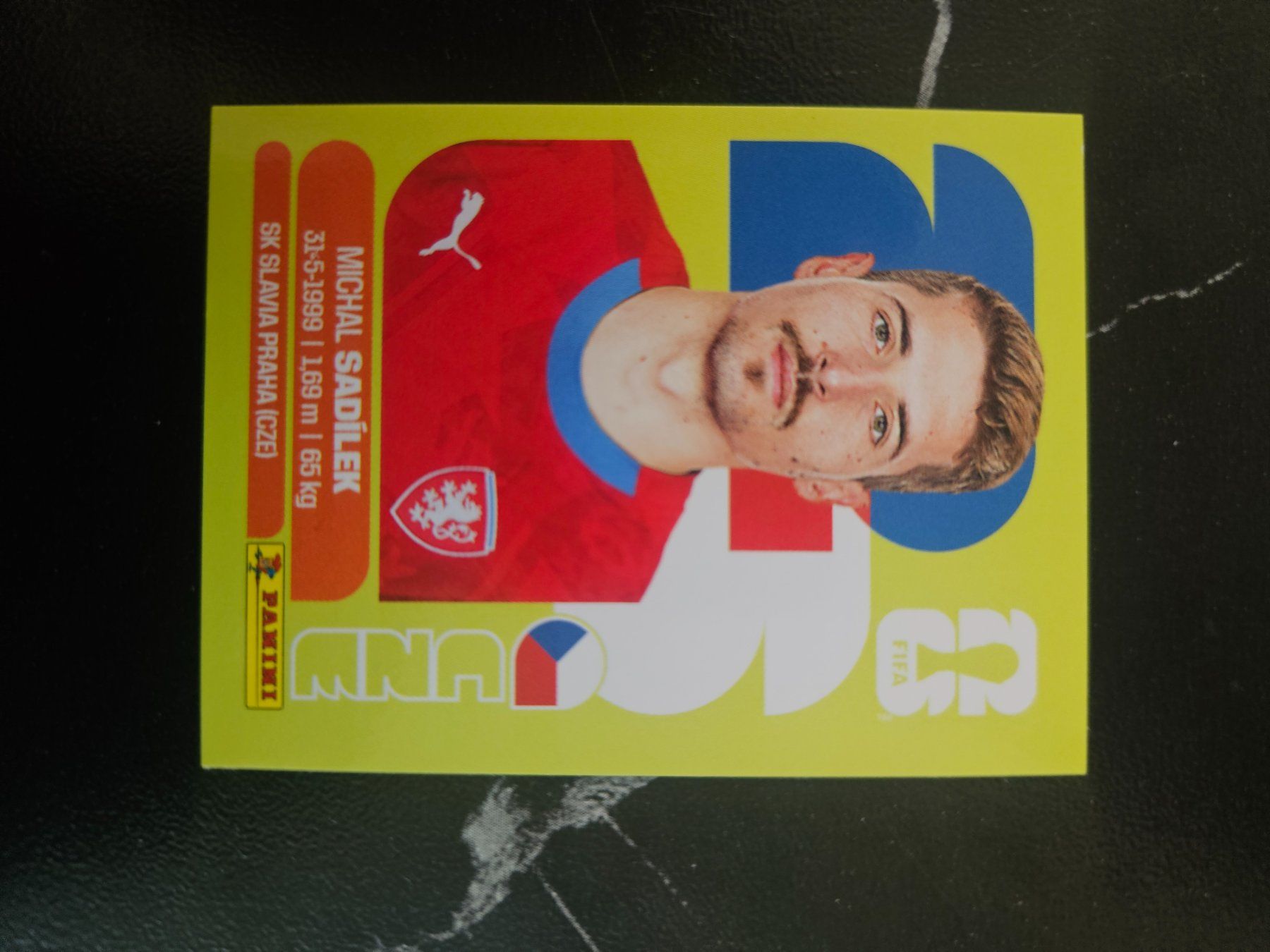 Panini Cartes à collectionner: CZE 9 – D'occasion à Würenlingen par Dinli