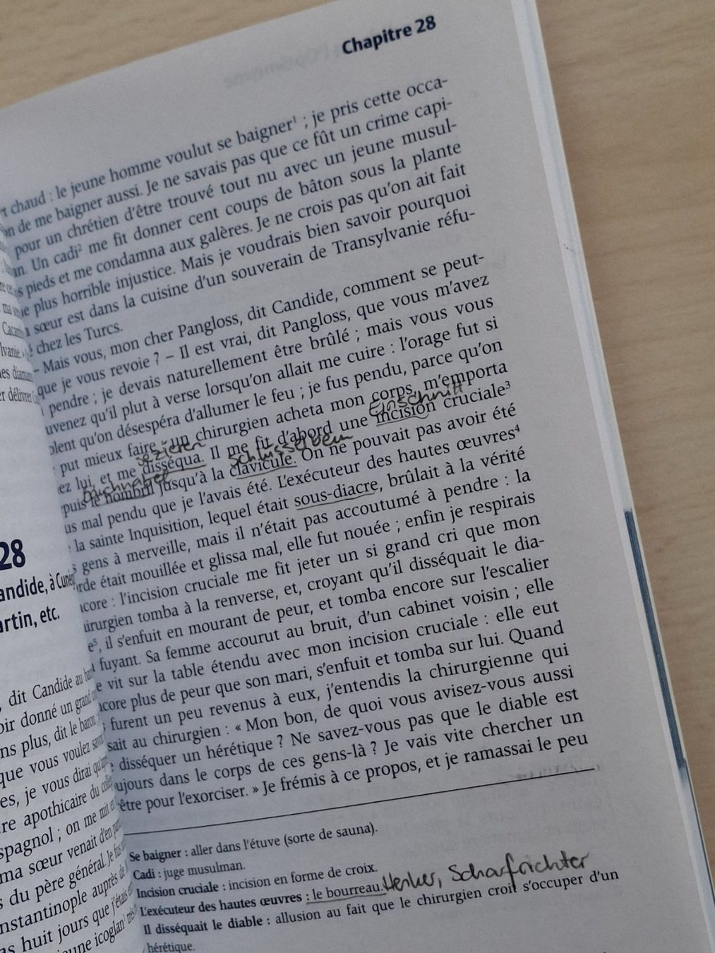 Libri: Voltaire - Candide, Petits Classiques Larousse – Usato da Walterswil SO venduto da mel_5b2h 2