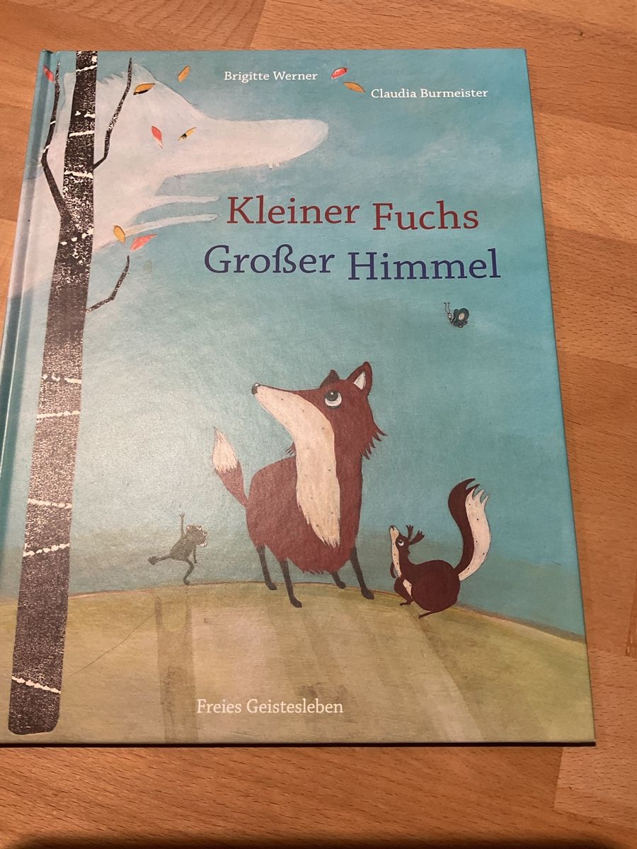 Libri: Kinderbuch KleinerFuchs Grosser Himmel 3+ – Nuovo (secondo la descrizione) da Wil ZH venduto da RiccardaWegmann