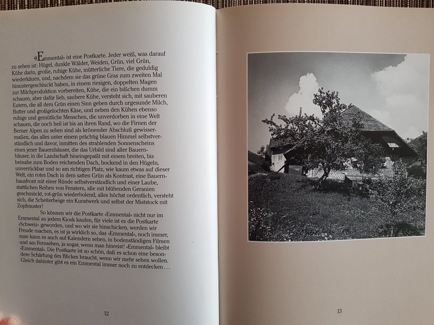 Libri: Emmental – Usato da Heimberg venduto da Cpidu 3