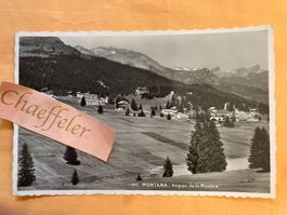 242. Montana - Région de la Moubra. 1949