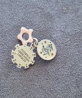 Charm Harry Potter Hufflepuff +Garantie