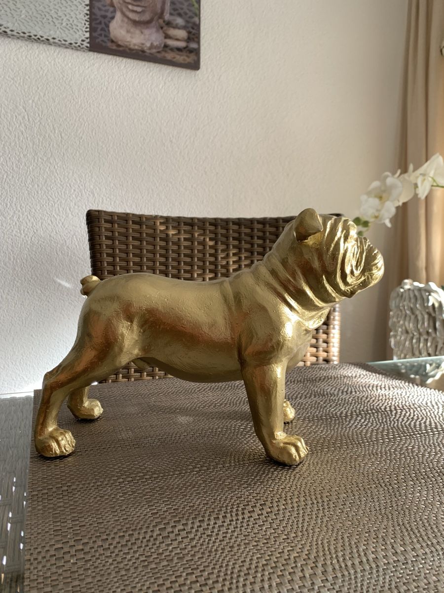 Statuette: Goldige Bulldogge – Nuovo (secondo la descrizione) da Emmenbrücke venduto da Dior09 1