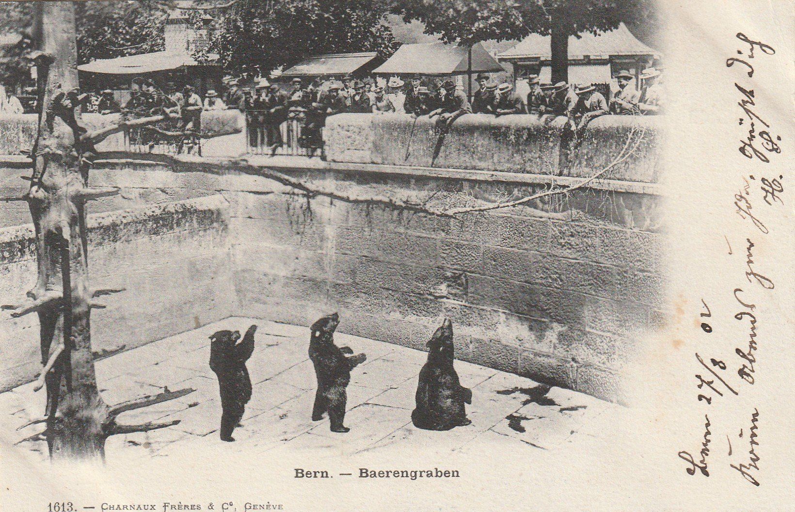 Ansichtskarten: Ansichtskarte Bern Bärengrabem 1902 – Gebraucht aus Rupperswil von Ema10