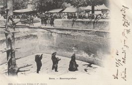 Ansichtskarte Bern Bärengrabem 1902
