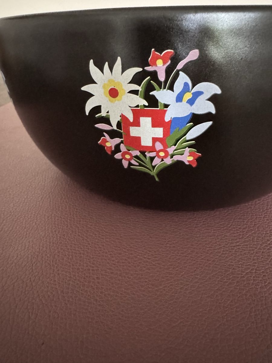 Set di piatti: Fondue Set 9Teilig – Usato da Regensdorf venduto da scheissspiel 3