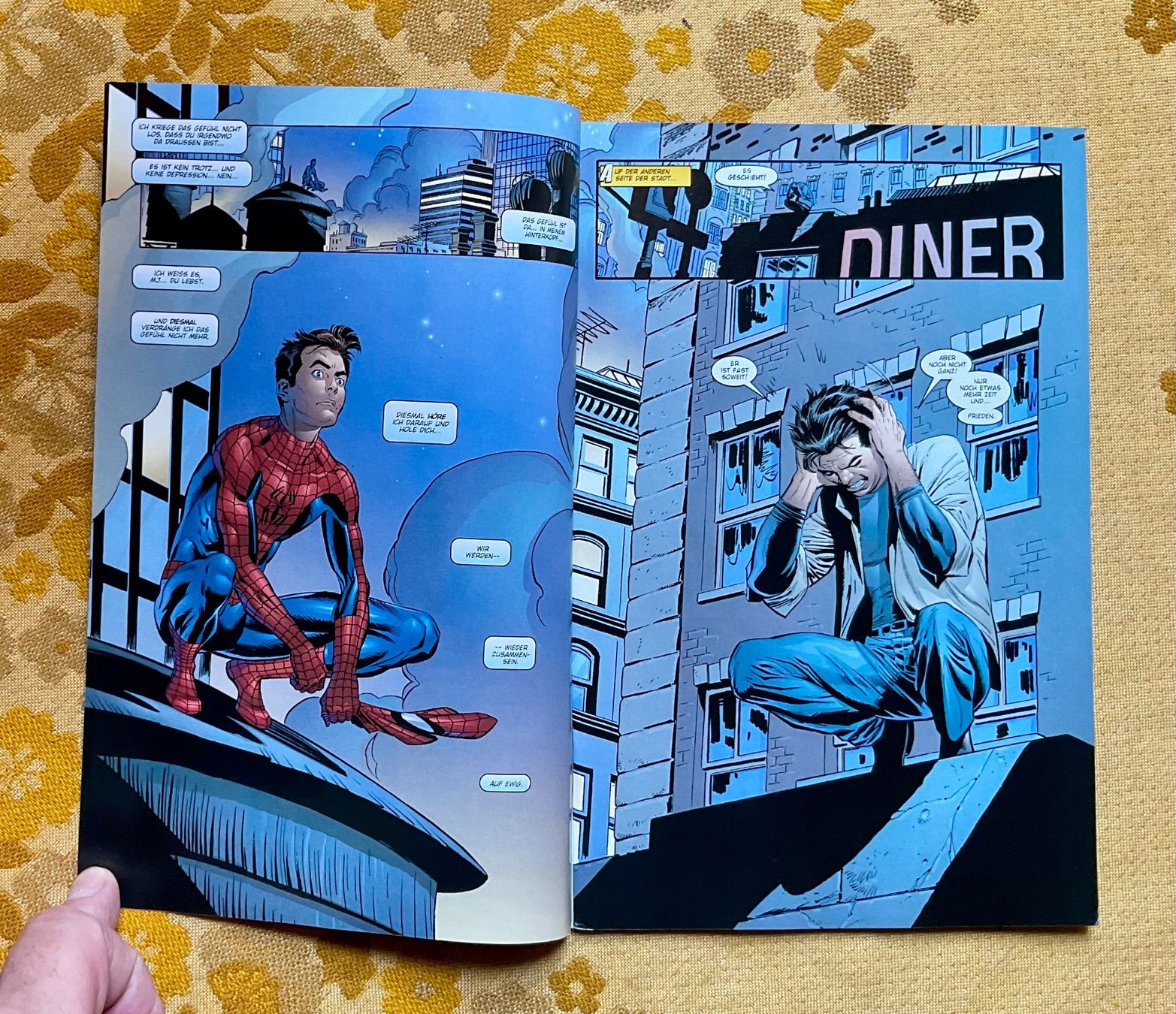 Comics: Peter Parker Spider-Man Heft Nr 17 von 2002 – Gebraucht aus Endingen von nathan05 2