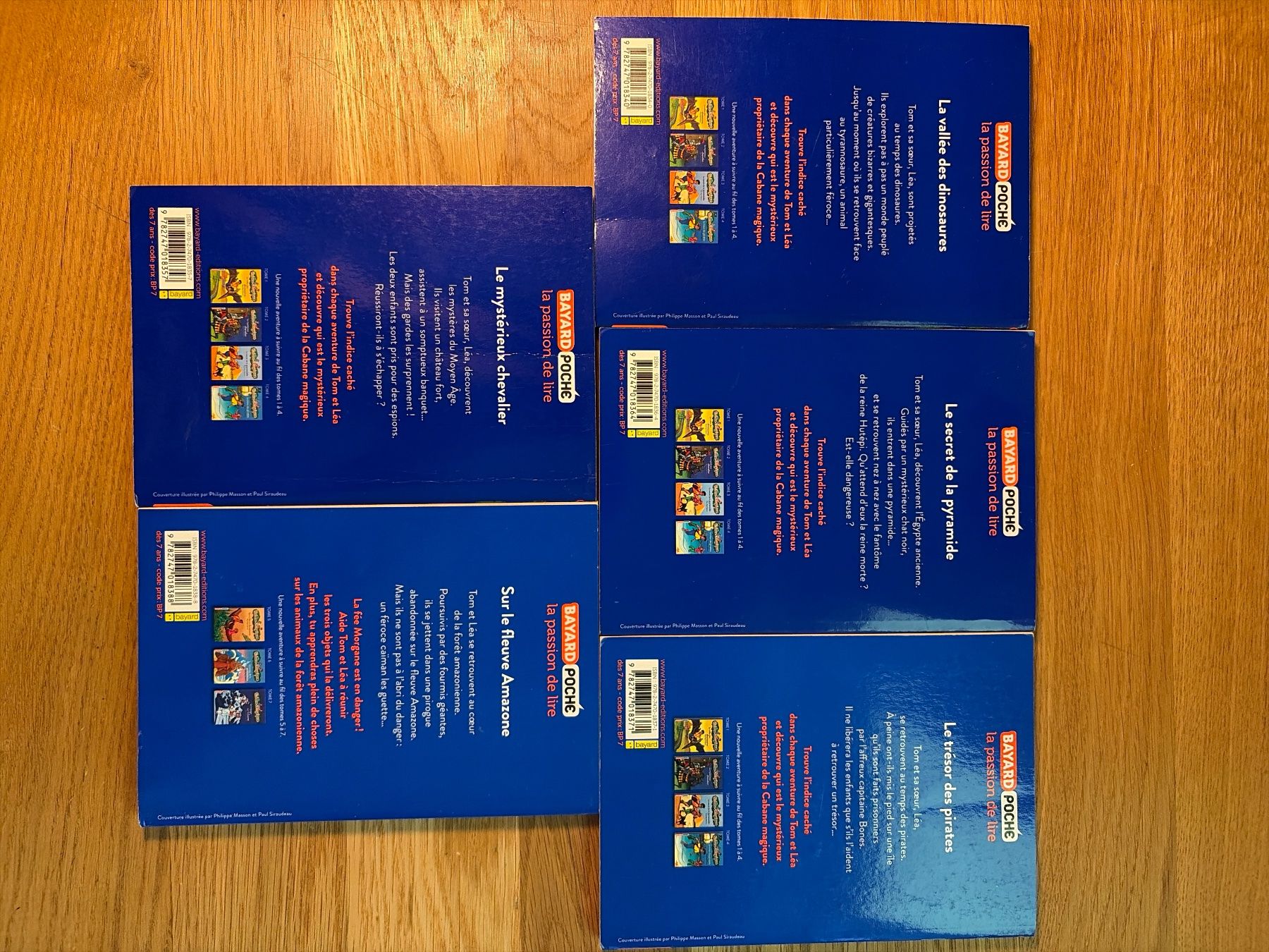 Libri: Livre cabane magique 1 a 5 – Usato da Lausanne venduto da aur_cxg5 2