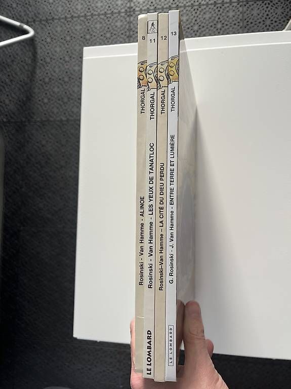 Fumetti: Lot de 4 BDs de Thorgal – Usato da Morges venduto da par_f5md 1