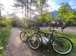 Scott Spark  MTB biammortizzata