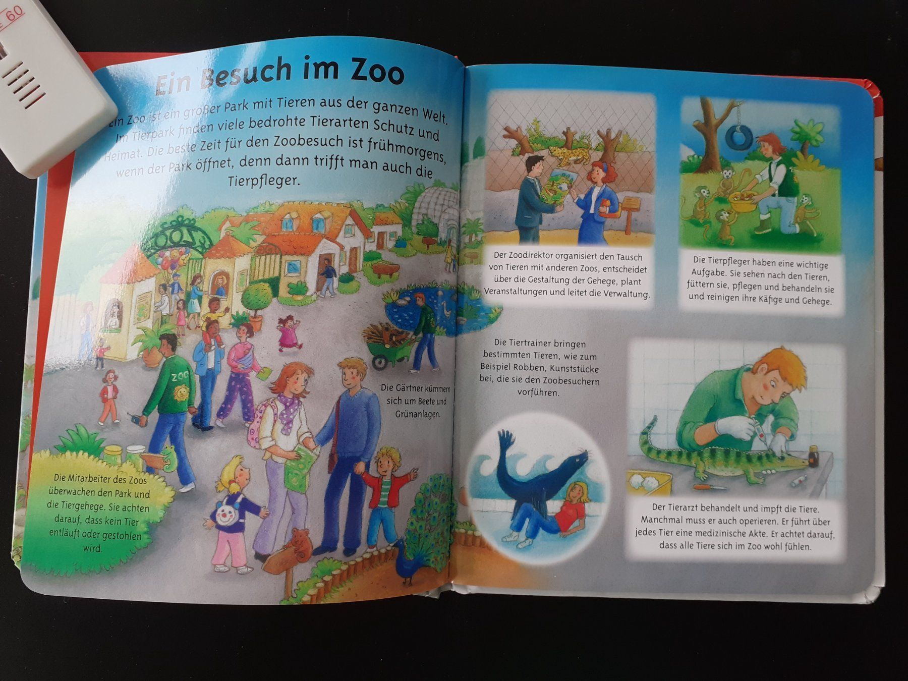 Libri: Kinderbuch Bilderbuch Im Zoo – Usato da Mörschwil venduto da lindaswunderkiste 5