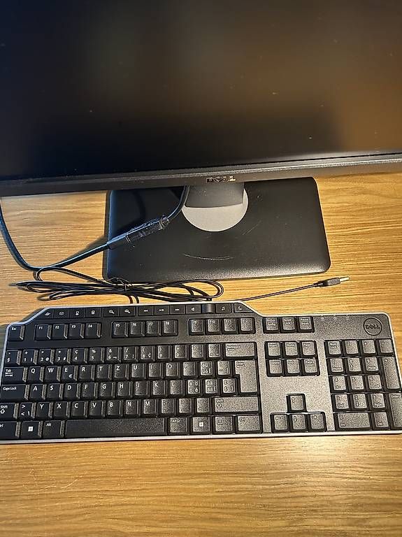 Dell Monitor: Bildschirm, Tastatur, alle Kabel – Usato da Gisikon venduto da luz_l95s 3