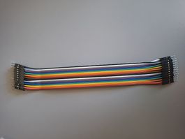 Jumper Kabel, 20cm, 2.54mm Raster, Stift zu Stift, Neu