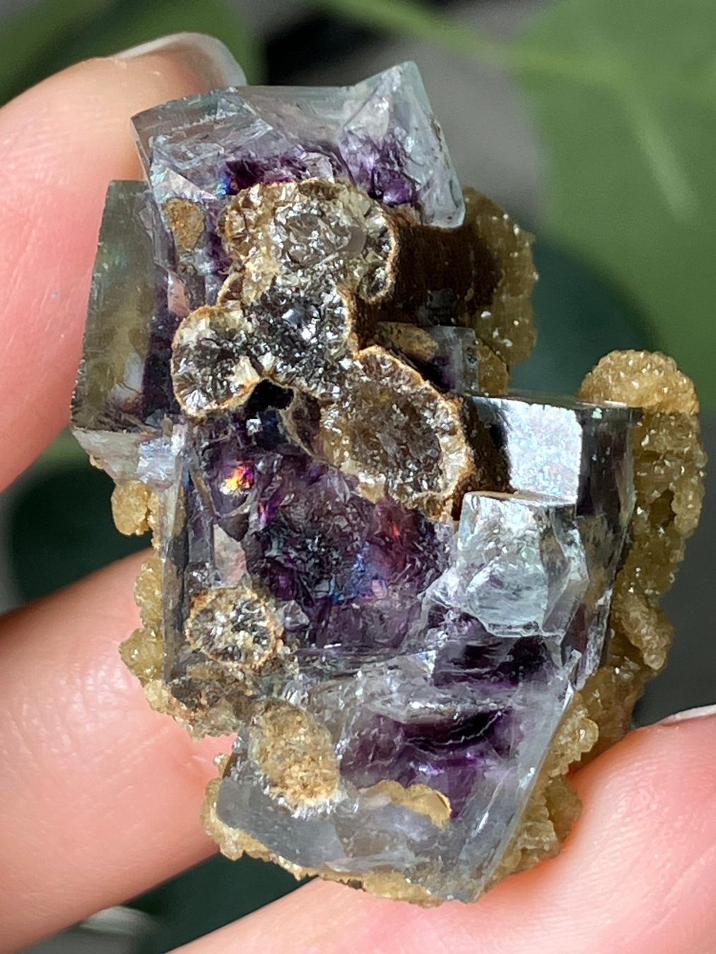 Edelsteine: Inner Mongolia Fluorit – Neu (gemäss Beschreibung) aus Neuheim von m.hald 7