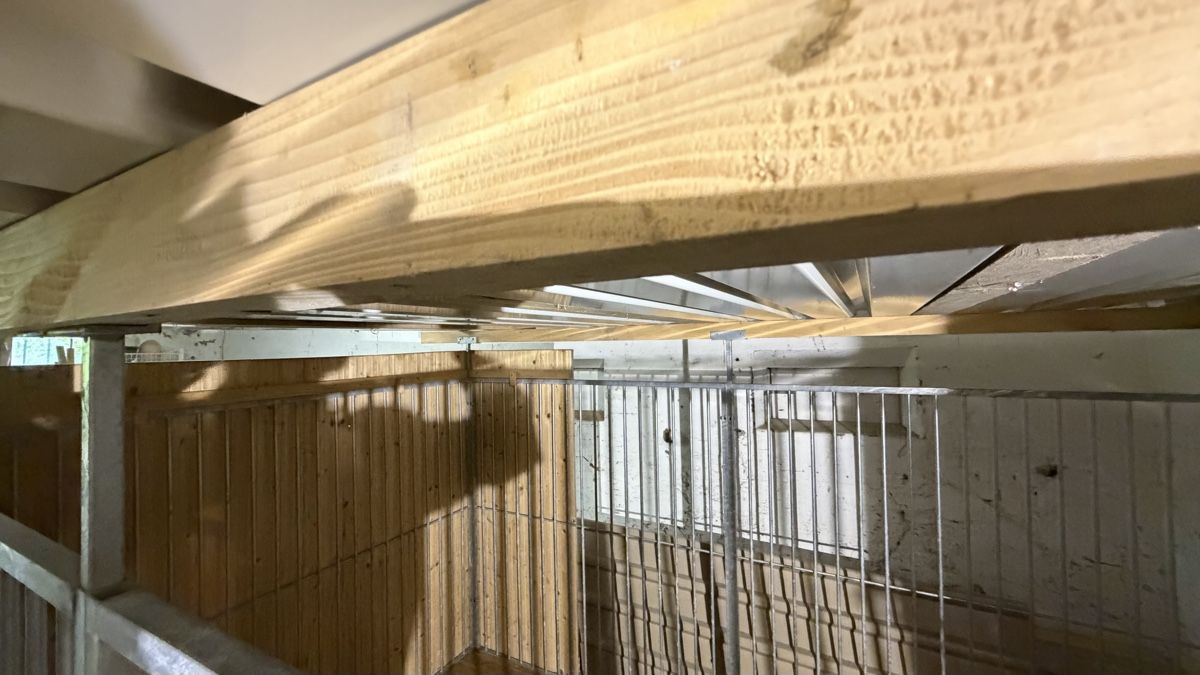 Cucce & Letti: Hundezwinger – Usato da Arisdorf venduto da Lerpi 9