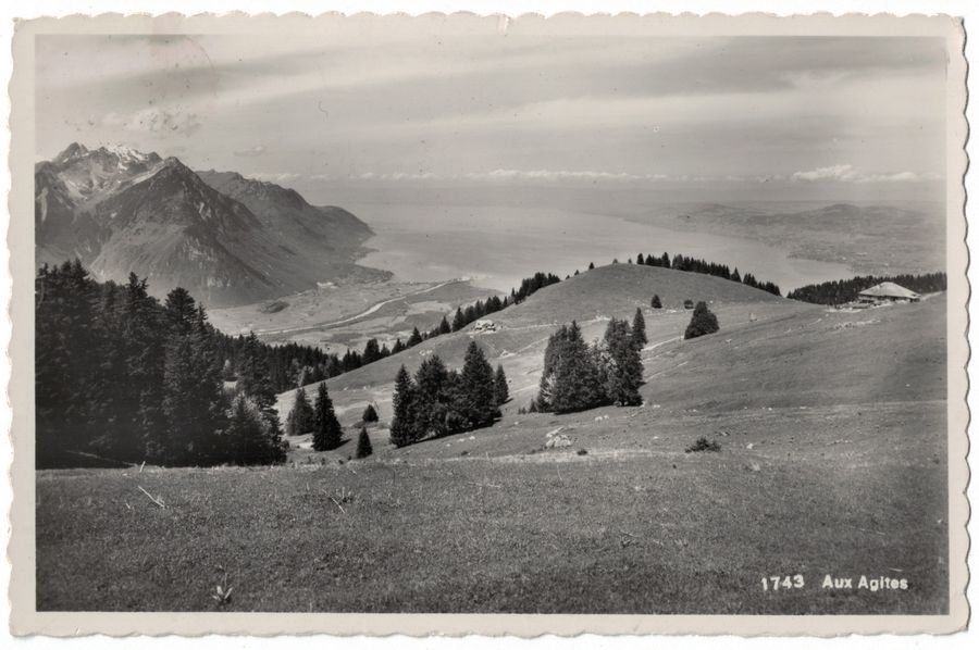 Cartoline postali: Aux Agites, circulée 1955 – Usato da Frauenfeld venduto da POML