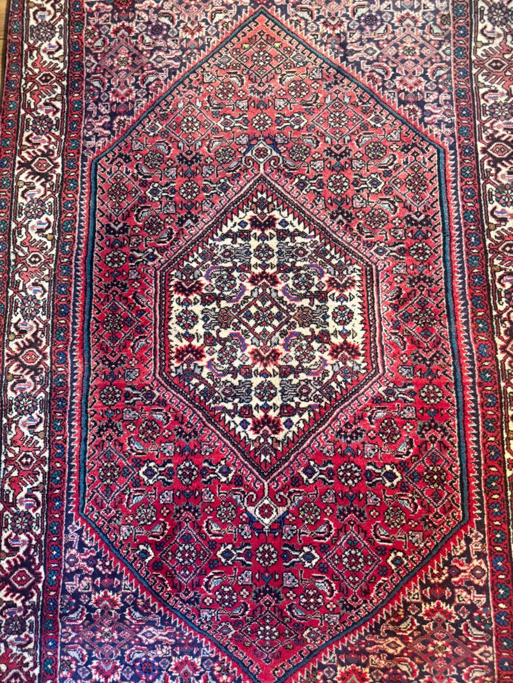 Bidjar Tappeti: Orientalischer persischer Teppich (Bidjar) – Usato da Höri venduto da ato_7v9f