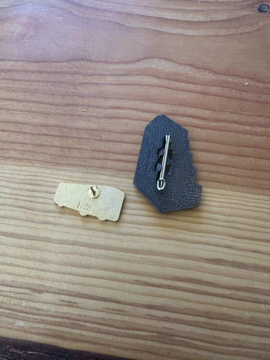 Placchette & Badge: Diverse pins abzugeben – Usato da Waldkirch venduto da RS_99 1
