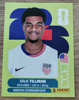 Malik Tillman USA 16 Panini FIFA World Cup 2026  ⚽🏆