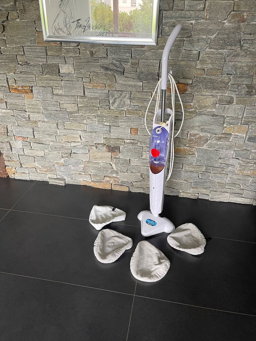 Pulitori a vapore: Dampfreiniger für Frühlingsputz – Usato da Sursee venduto da Tommy81