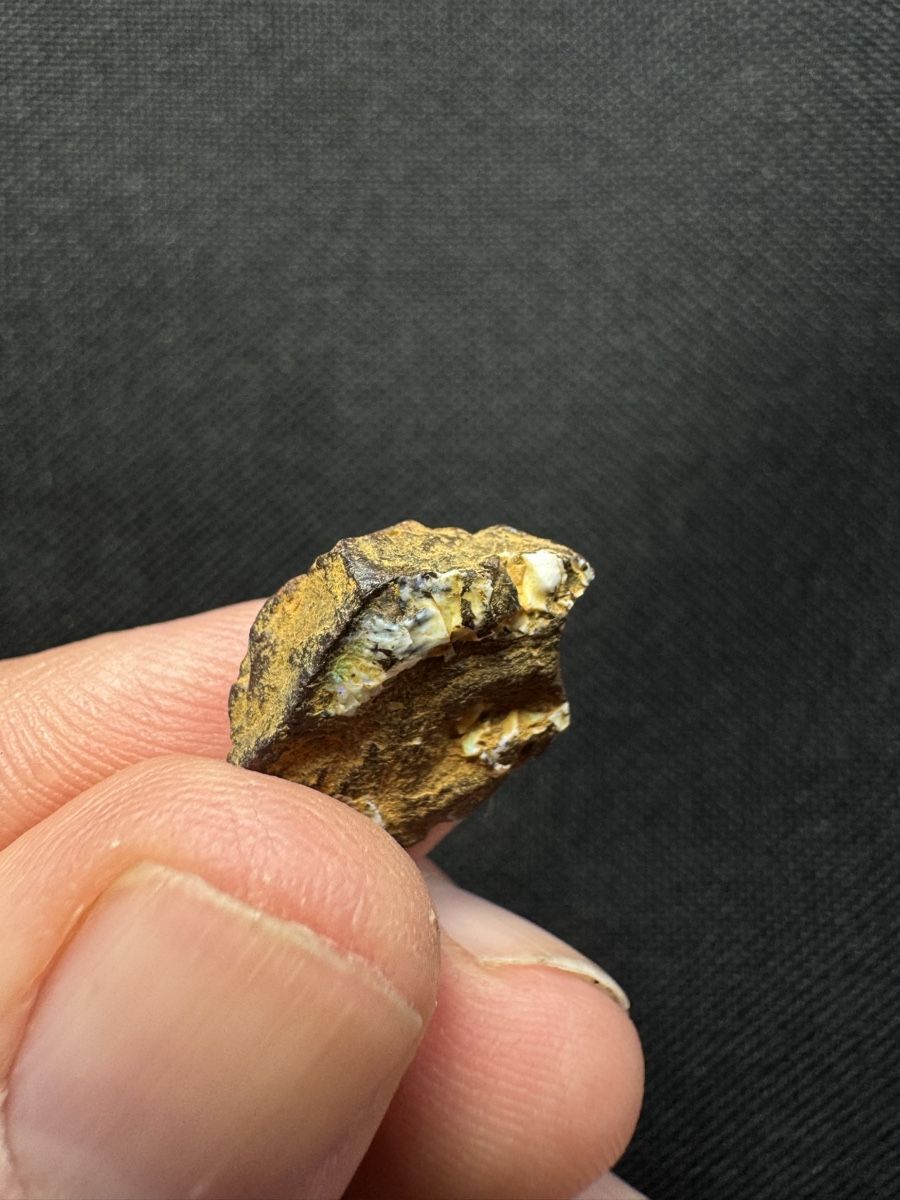 Pietre preziose: Boulder Opal Lot 1, 80.9 ct – Nuovo e nell'imballaggio originale da Wängi venduto da Horus90 7
