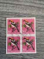 Marken 1968 Pro Juventute Briefmarken 4er Block Vogelmotiv