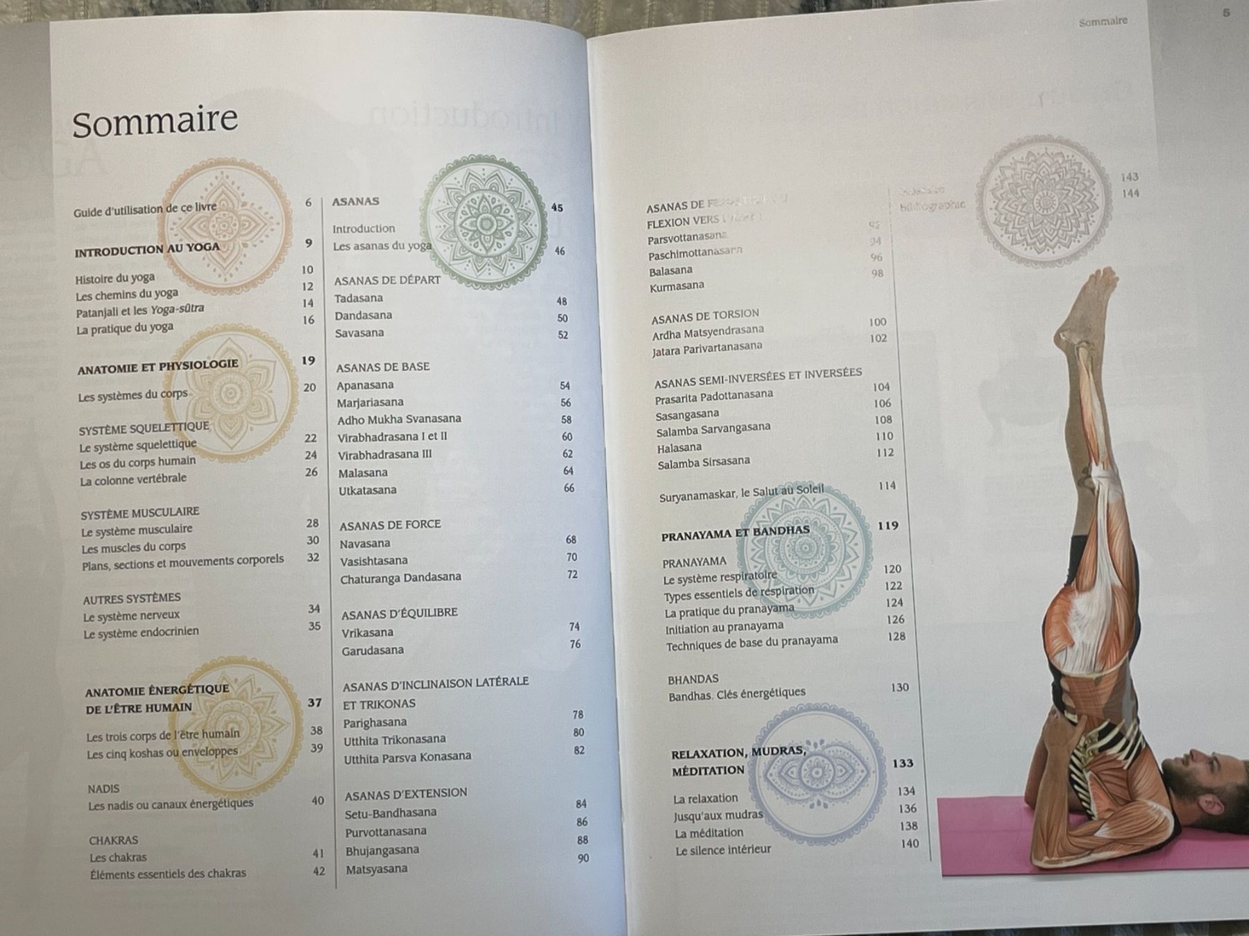 Libri: Yoga & anatomie – Usato da La Tour / VS venduto da patoye 2