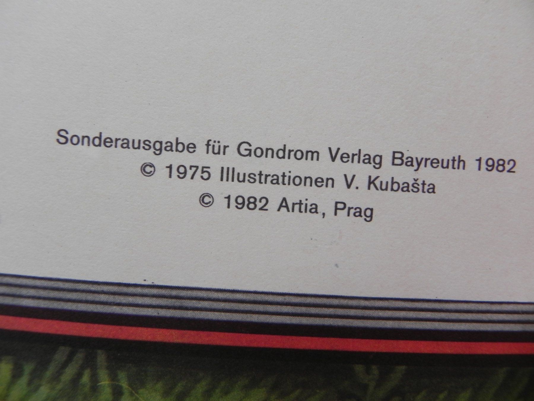 Libri: Schneewittchen Leporello Buch Kubasta Pop Up Buch 1982 – Usato da Stallikon venduto da pcerny16 2