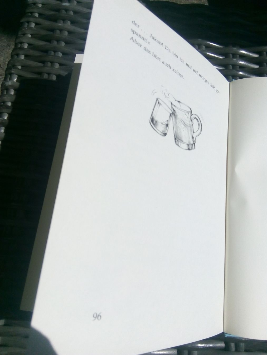 Libri: Vater Jakob oder der Mond in der Gulaschsuppe (Barbara Haupt – Usato da St.Galllen venduto da elkaphone 6