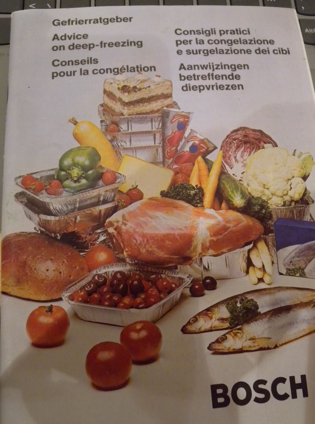 Bücher: Gefrierratgeber Bosch mit Rezepten plus zwei – Gebraucht aus Hauenstein von davia72
